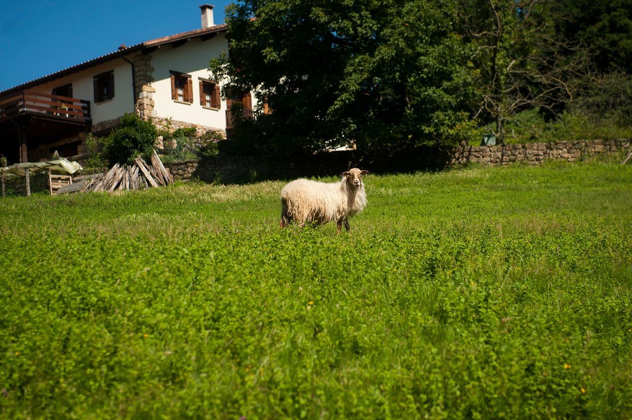 Casa Peluaga Vendégház Oiartzun Kültér fotó